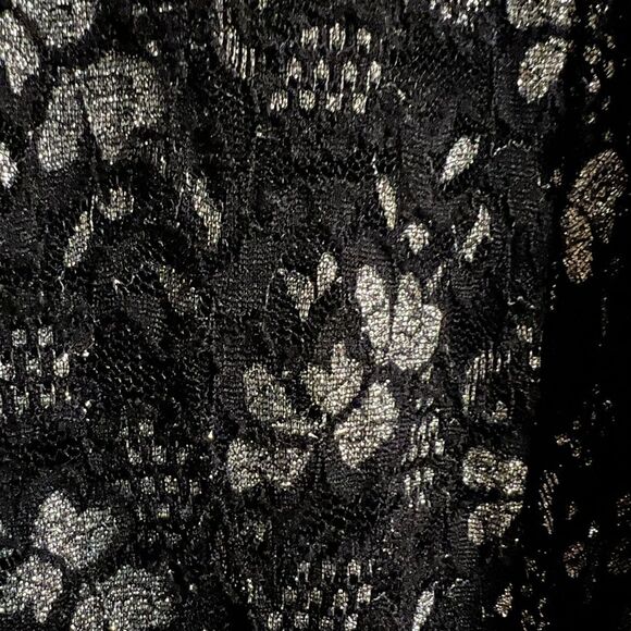 Black Lace Dress Size 4, Black & Silver VNeck half-sleeve NWT - Picture 14 of 14
